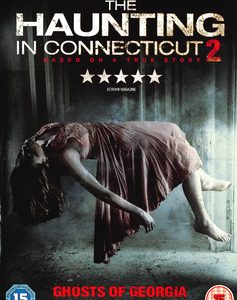 Haunting in Connecticut 2, The (DVD)
