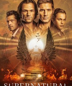 Supernatural - Season 15 (DVD)