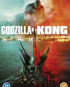 Godzilla vs Kong (DVD)