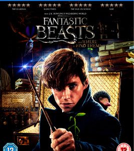 Fantastic Beasts and where to find them (Blu Ray)