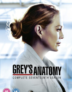 Greys Anatomy - Season 17 (DVD)