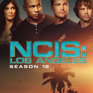 NCIS Los Angeles - Season 12 (DVD)