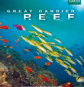 Great Barrier Reef (Blu Ray)