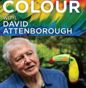 Life In Colour With David Attenborough (DVD)