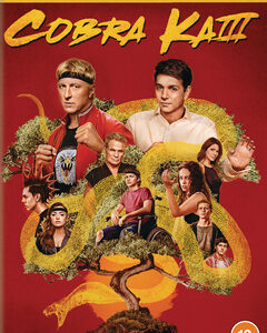 Cobra Kai - Season 3 (DVD)