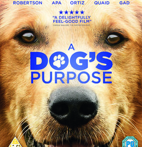 Dogs Purpose, A (Dennis Quaid) (Blu Ray)