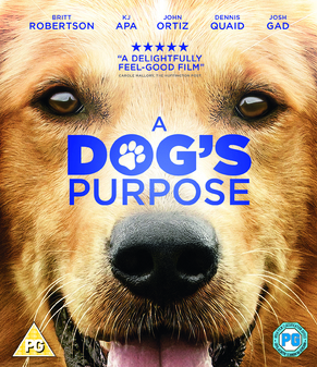 Dogs Purpose, A (Dennis Quaid) (Blu Ray)