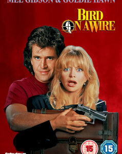 Bird on a wire (Mel Gibson, Goldie Hawn) (DVD)