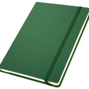 Flexi Notebook - green (ST331IA5)