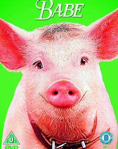 Babe (DVD)