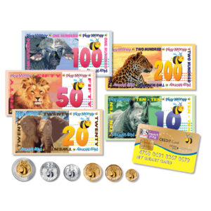 Smart Play Money (RGS4107)