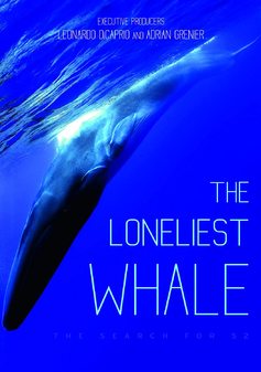 Loneliest Whale, The: The Search for 52 (DVD)