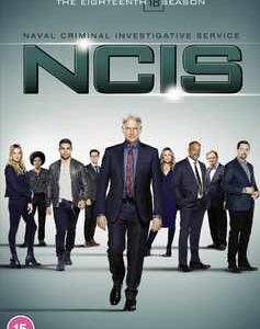 NCIS - Season 18 (DVD)