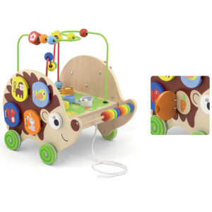 Pull Along Activity Hedgehog (RGS50012)