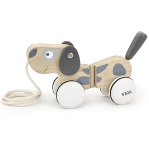Pull Along Puppy (RGS51614)