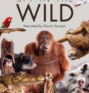 Spy in the Wild - Series 1 (DVD)