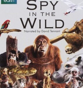 Spy in the Wild - Series 1 (Blu Ray)
