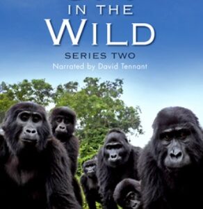 Spy in the Wild - Series 2 (DVD)