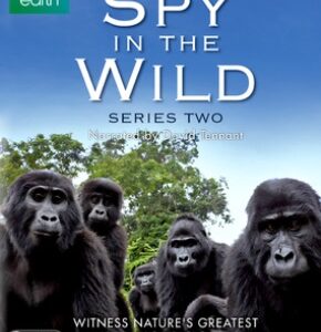 Spy in the Wild - Series 2 (Blu Ray)
