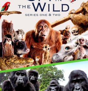Spy in the Wild - Series 1 and 2 (DVD)