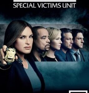 Law And Order - Special Victims Unit - Season 17 (DVD)