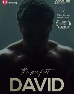 Perfect David, The (DVD)