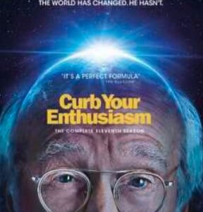 Curb Your Enthusiasm - Season 11 (DVD)