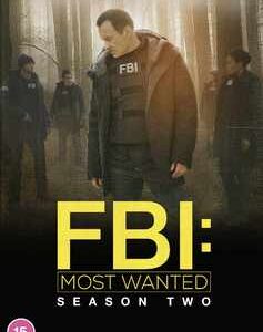 FBI: Most Wanted - Season 2 (DVD)