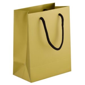 Matte Gift Bag - 23cm - gold (BAG091C-23)