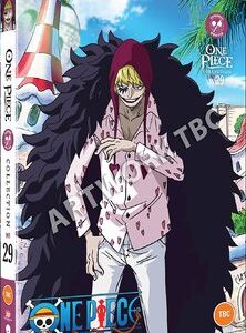 One Piece - Collection 29 - Episodes 694-719 (DVD)