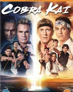 Cobra Kai - Season 4 (DVD)