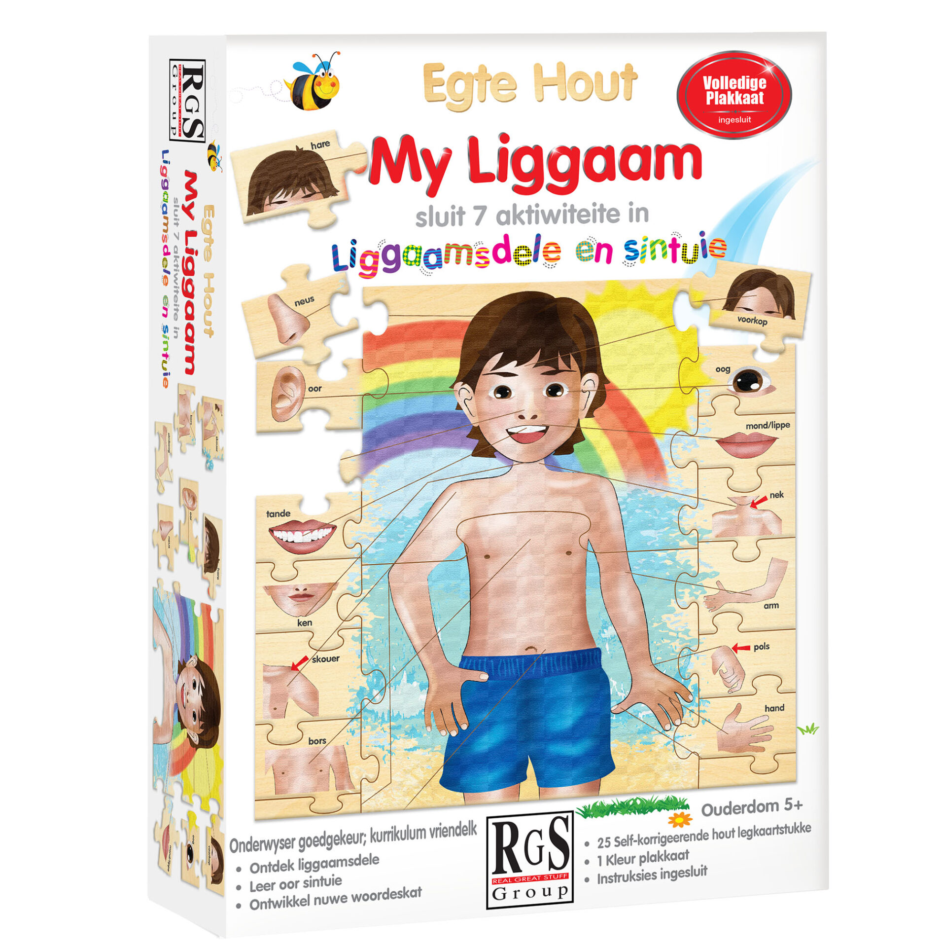 My Liggaam - Educational puzzle game (RGS5211)