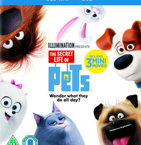 Secret life of Pets, The (Blu Ray+DVD)