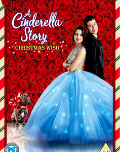 Cinderella Story, A: Christmas Wish (DVD)