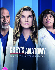 Greys Anatomy - Season 18 (DVD)