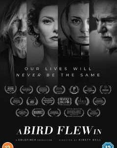 Bird flew in, A (Jeff Fahey, Sadie Frost) (DVD)