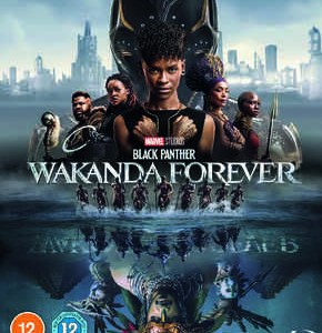 Black Panther: Wakanda Forever (Blu Ray)