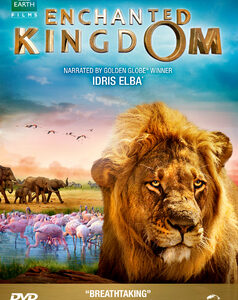 Enchanted Kingdom (DVD)