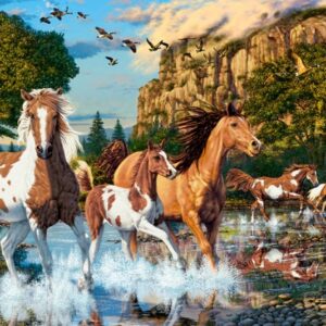 Horse Wonderland (1000 Piece Puzzle)