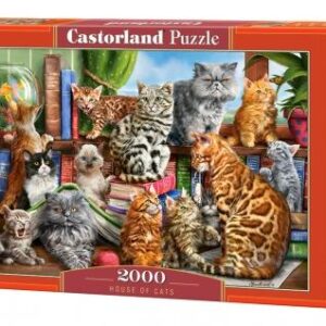 House Of Cats (2000 Piece Puzzle)