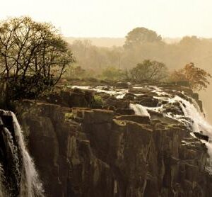 Elephant (1000 Piece Puzzle)