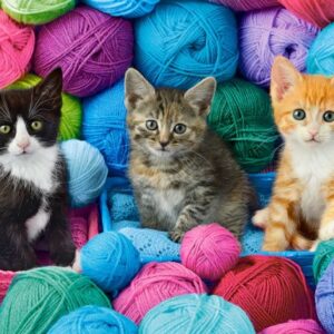 Kittens in Yarn Store (1000 Piece Puzzle)