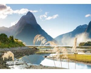 Milford Sound (1000 Piece Puzzle)