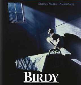 Birdy (Matthew Modine, Nicolas Cage) (Blu Ray)