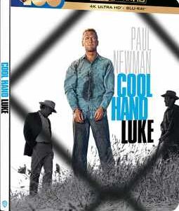 Cool Hand Luke (Paul Newman) (4K Ultra HD+Blu Ray Steelbook) - Limited Edition