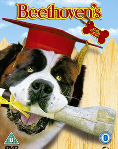 Beethovens 4th (Judge Reinhold) (DVD)