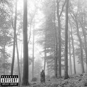 Taylor Swift: Folklore (Explicit) (CD)