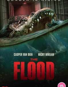 Flood, The (DVD)