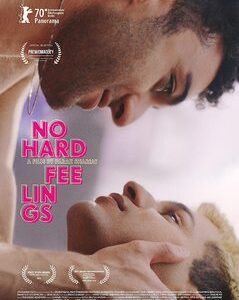 No Hard Feelings (DVD)