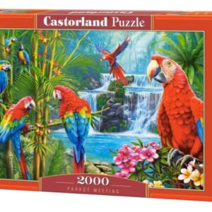 Parrot Meeting (2000 Piece Puzzle)